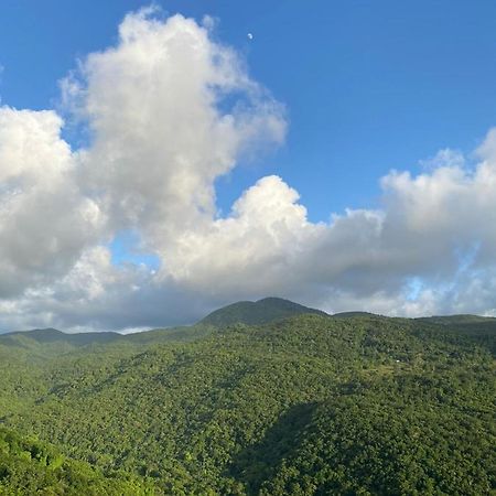 Tranquillite Vert Pointe-Noire Bagian luar foto