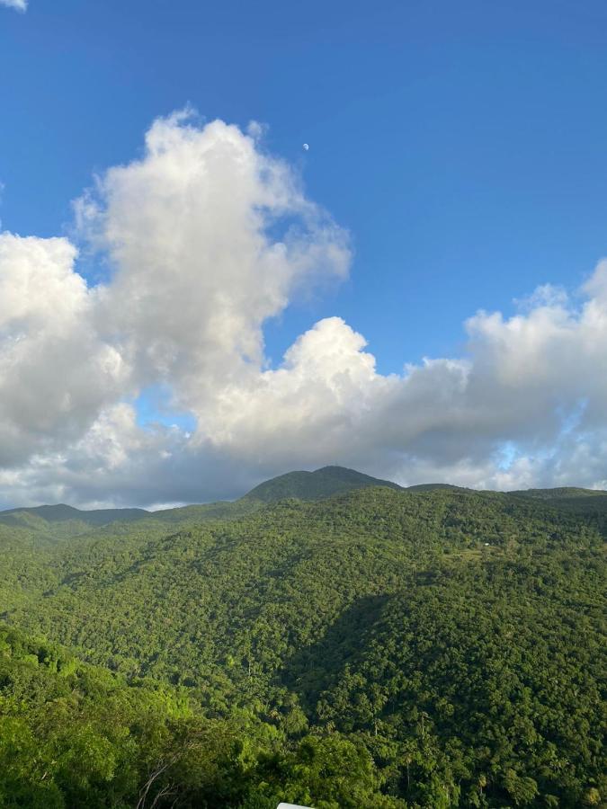 Tranquillite Vert Pointe-Noire Bagian luar foto